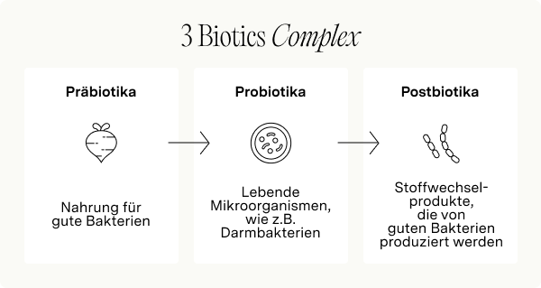 Infografik zur Erklärung Prä-,Pro- und Postbiotika