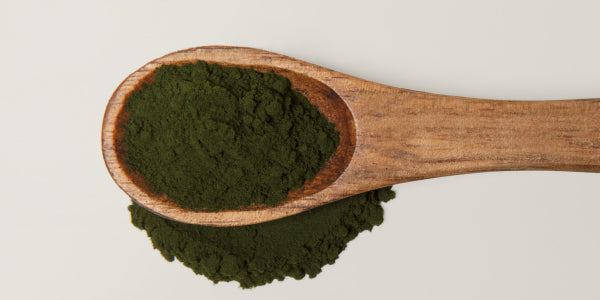 Löffel mit Chlorella-Pulver