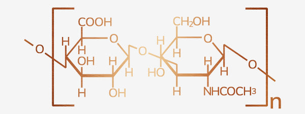 Hyaluron Aufbau
