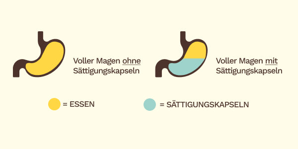 Wirkung BEAVITA Sättigungskapseln