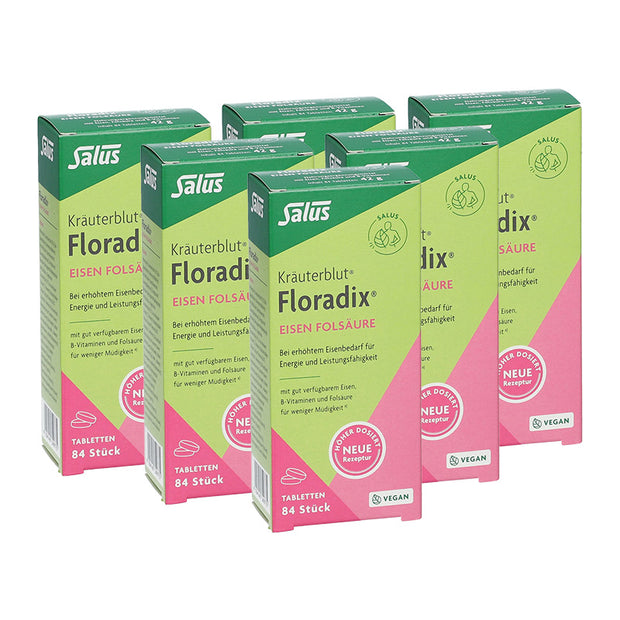 Floradix Eisen Folsäure