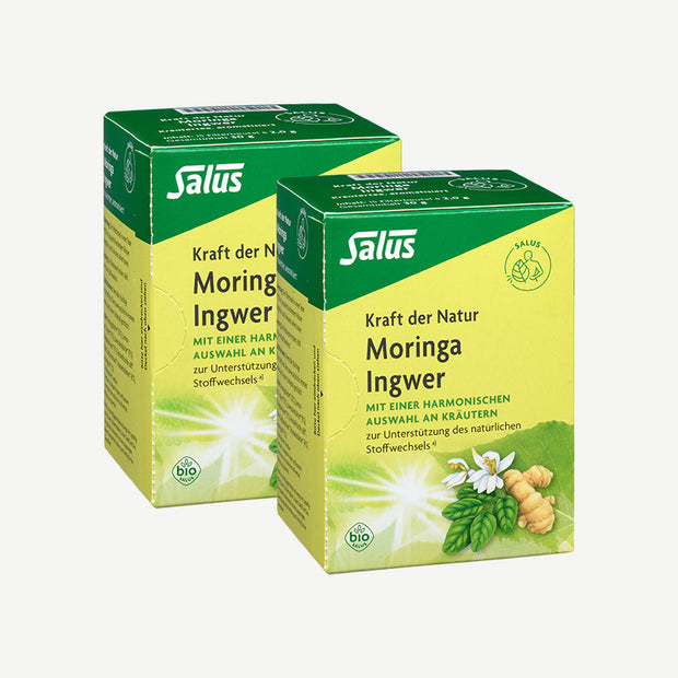 Salus Bio Moringa Ingwer, Kräutertee