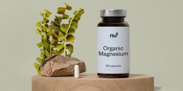 Magnesium Kapsel aus Meerlattich Alge Pflanze